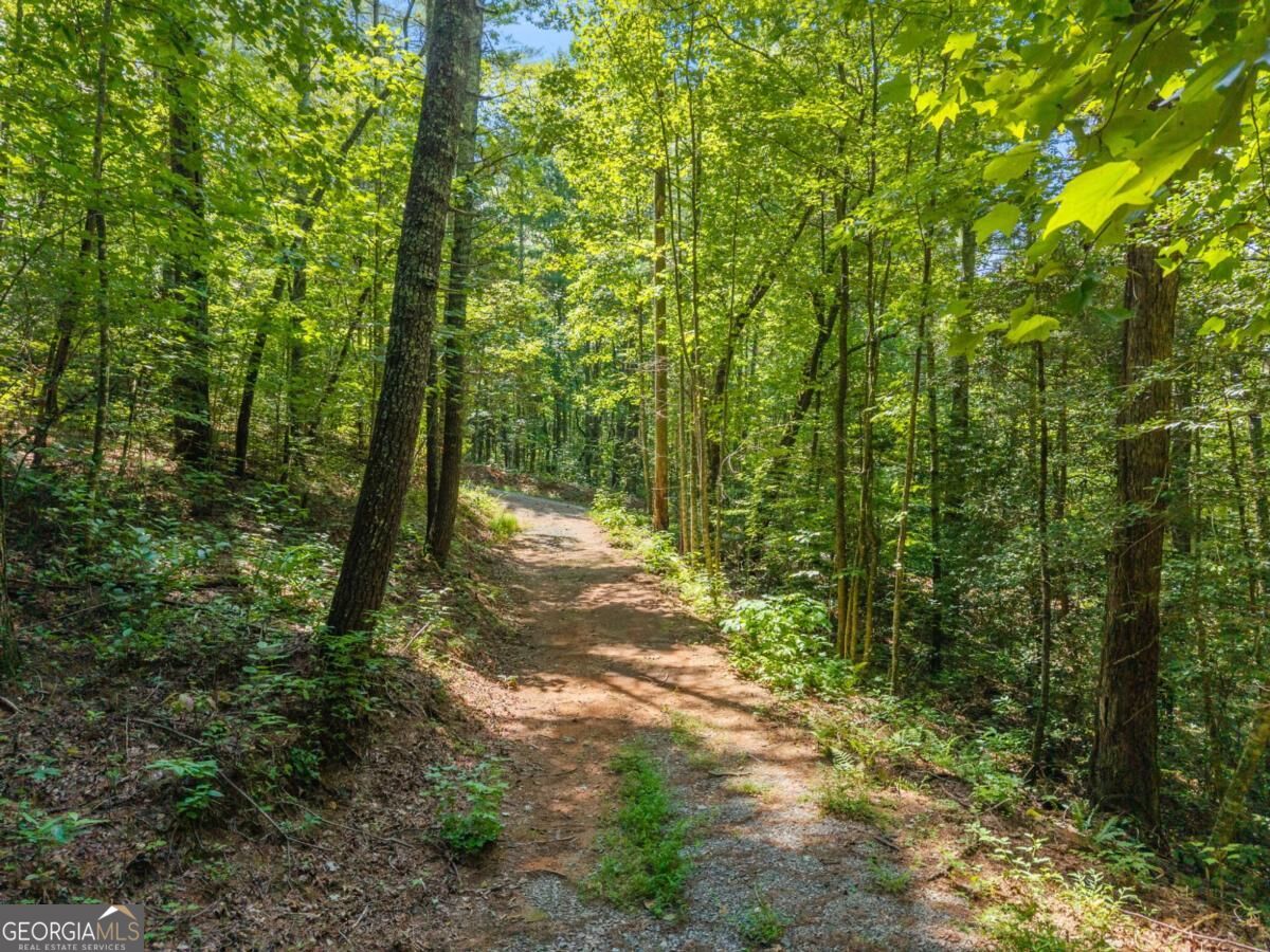 2 A Stevens Ridge Road Ellijay, GA 30540 - Photo 7 of 34 Gallery Image 7