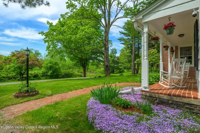 a view of a park with large trees