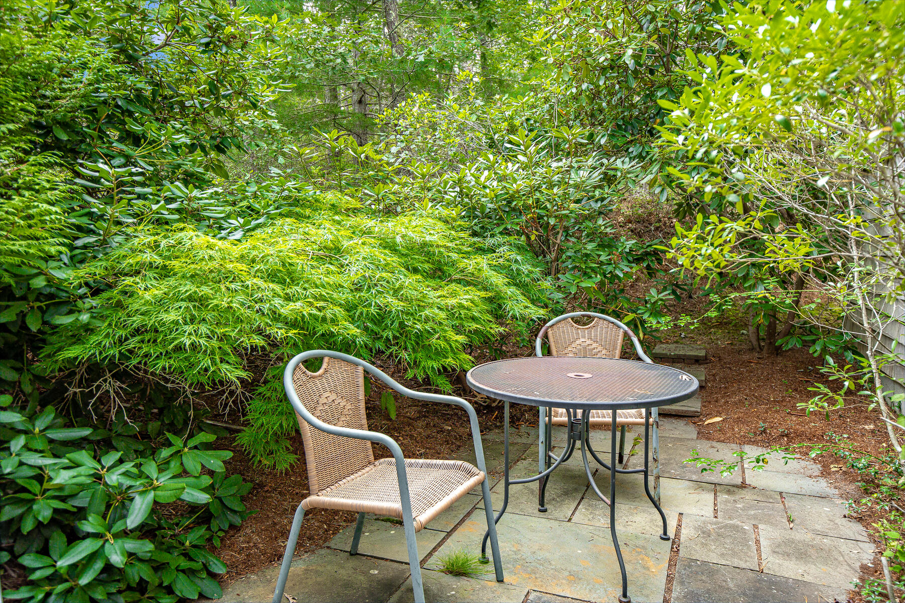 20 Pine Valley Road Wellfleet, MA 02667 - Photo 41 of 52 a view of a chairs and table in patio