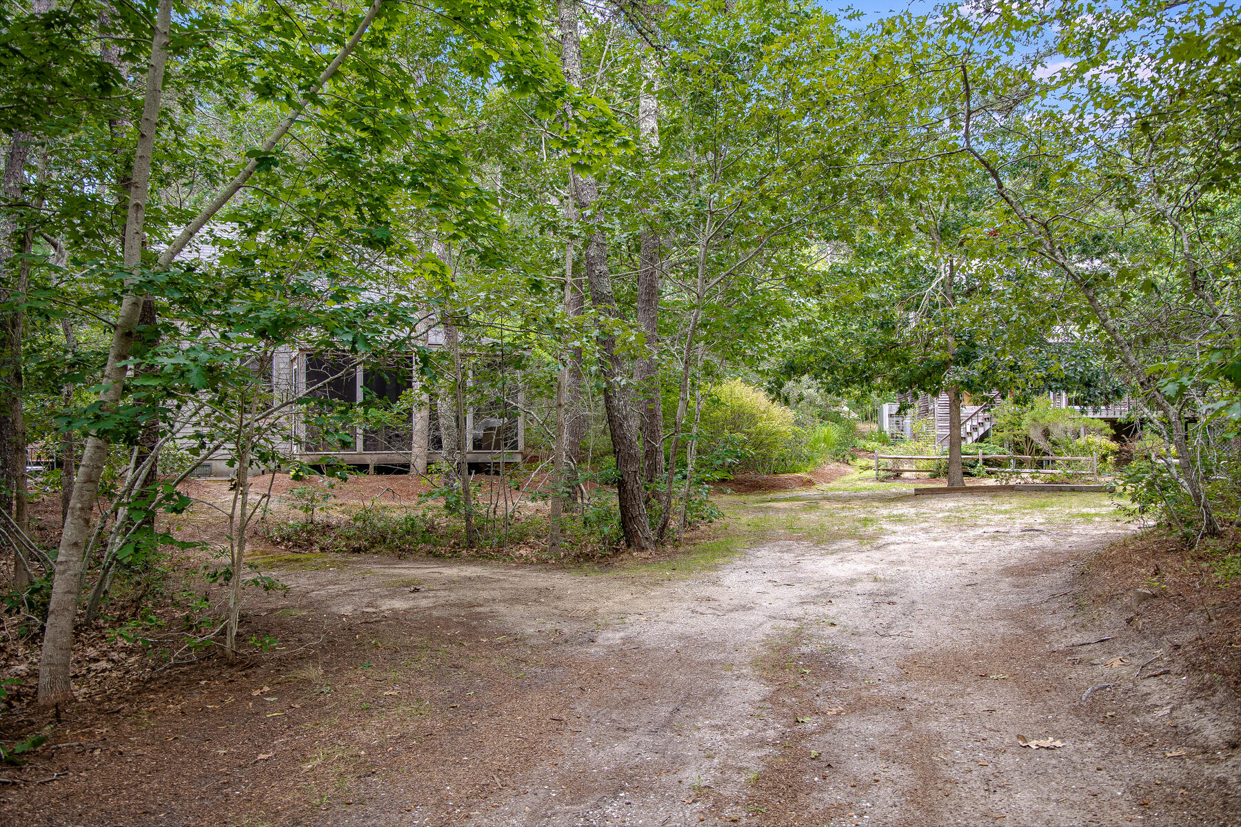 20 Pine Valley Road Wellfleet, MA 02667 - Photo 44 of 52 a view of a yard with plants and trees