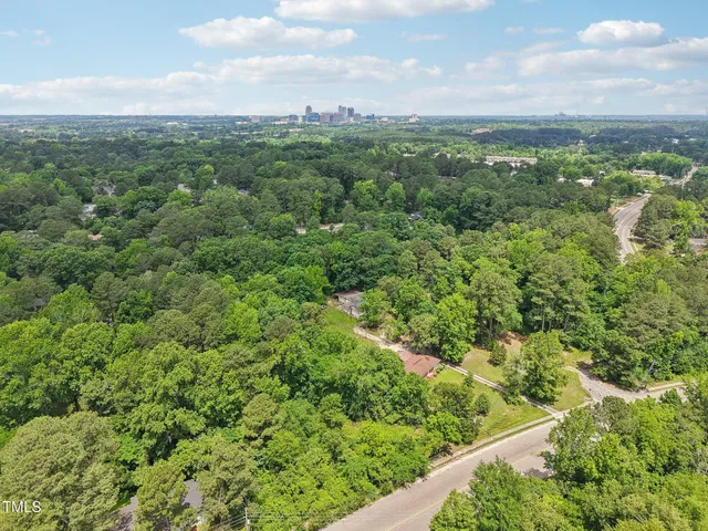 view of a city with lush green forest