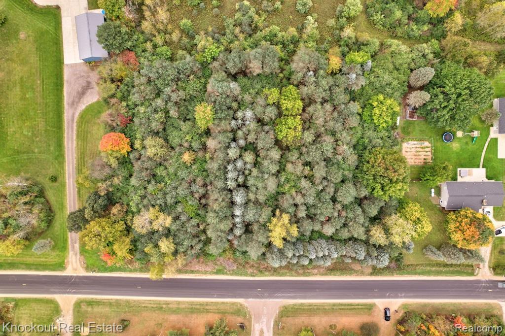 0 Birch Run Road Munger, MI 48747 - Photo 7 of 18