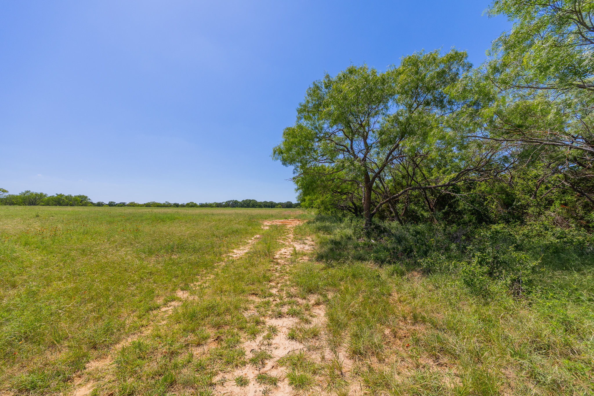 180 Covered Meadows Ranch Road Purmela, TX 76566 - Photo 19 of 21