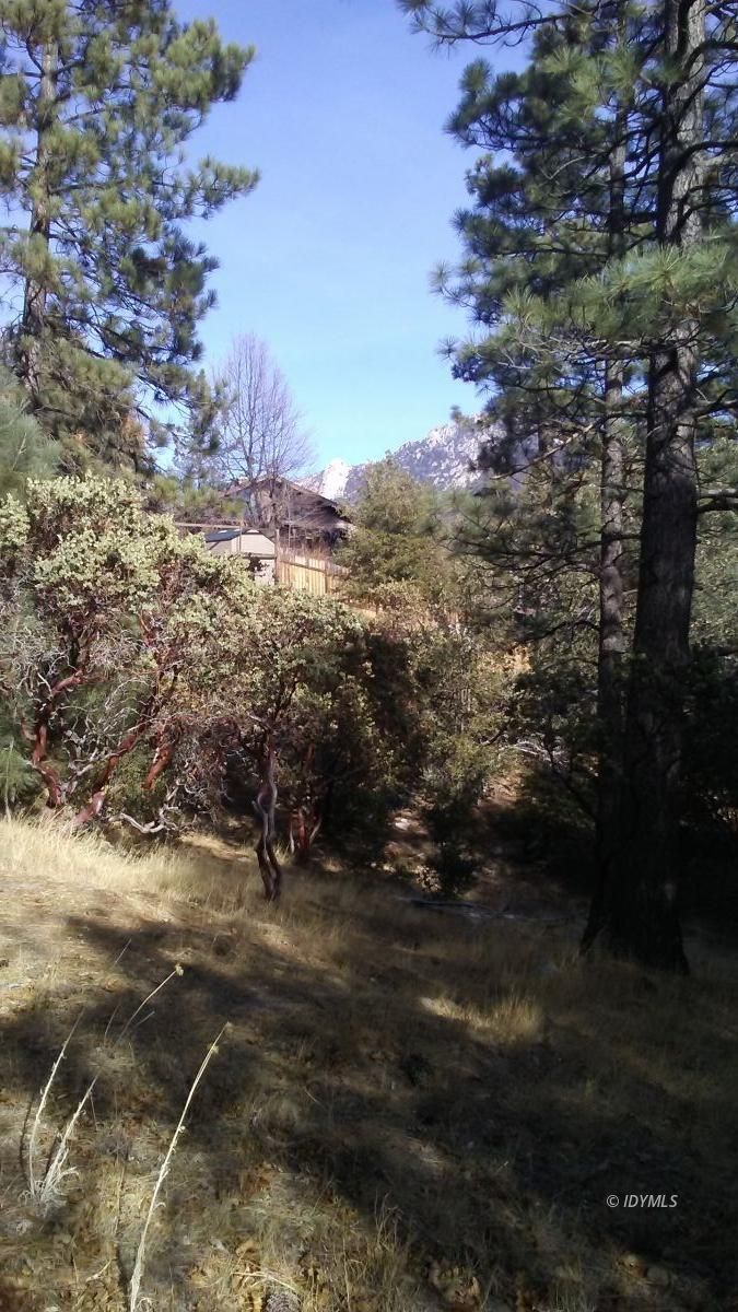 Doubleview Idyllwild, CA 92549 - Photo 3 of 4 a view of outdoor space with green space