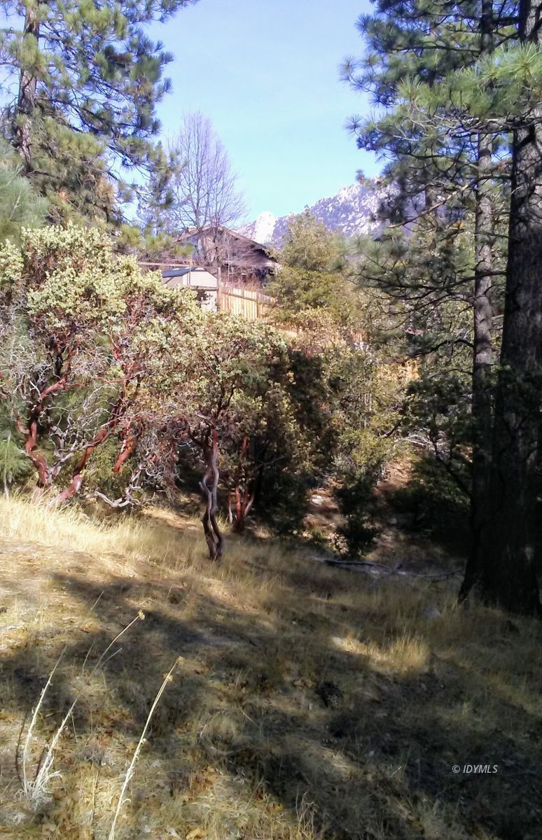 Doubleview Idyllwild, CA 92549 - Photo 4 of 4 a view of outdoor space and trees