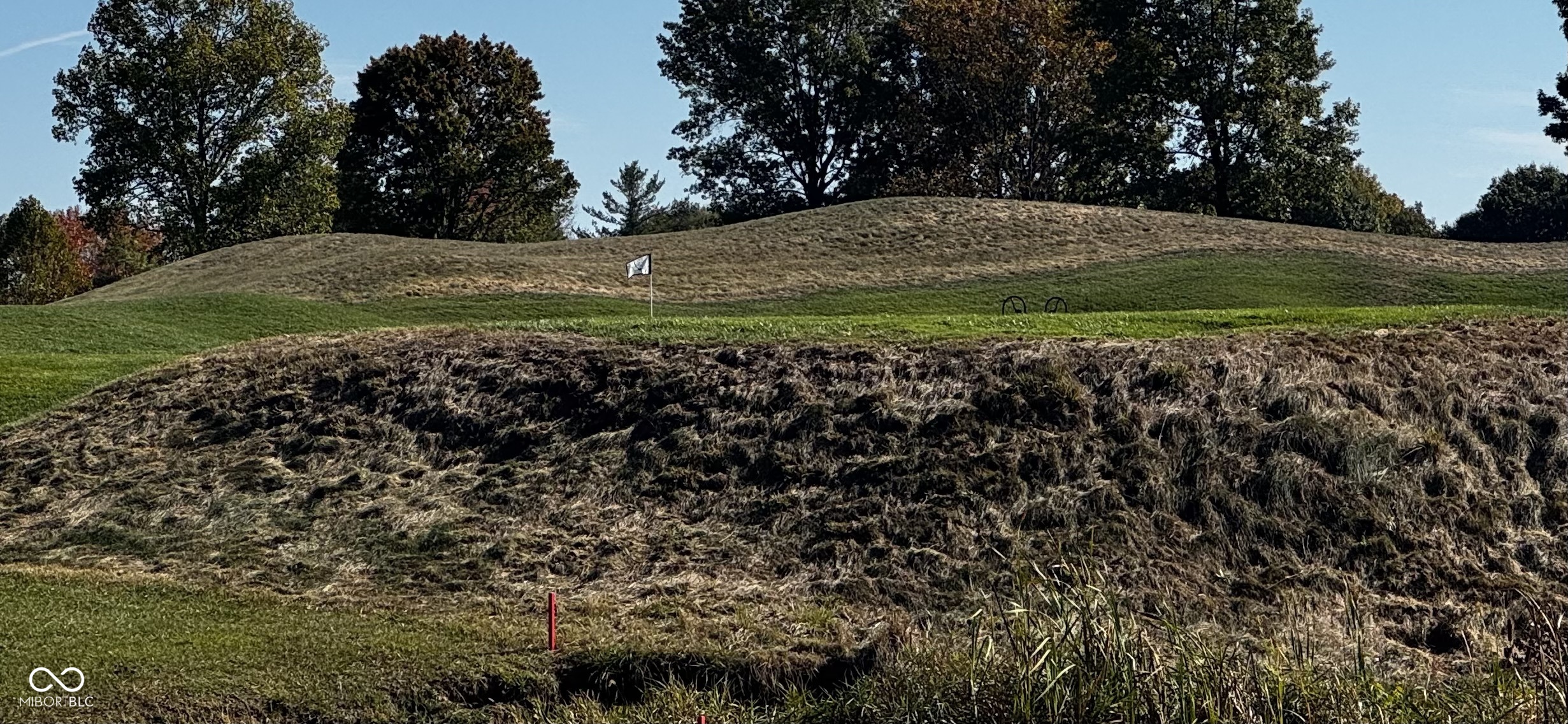 10837 Thunderbird Drive Carmel, IN 46032 - Photo 6 of 14