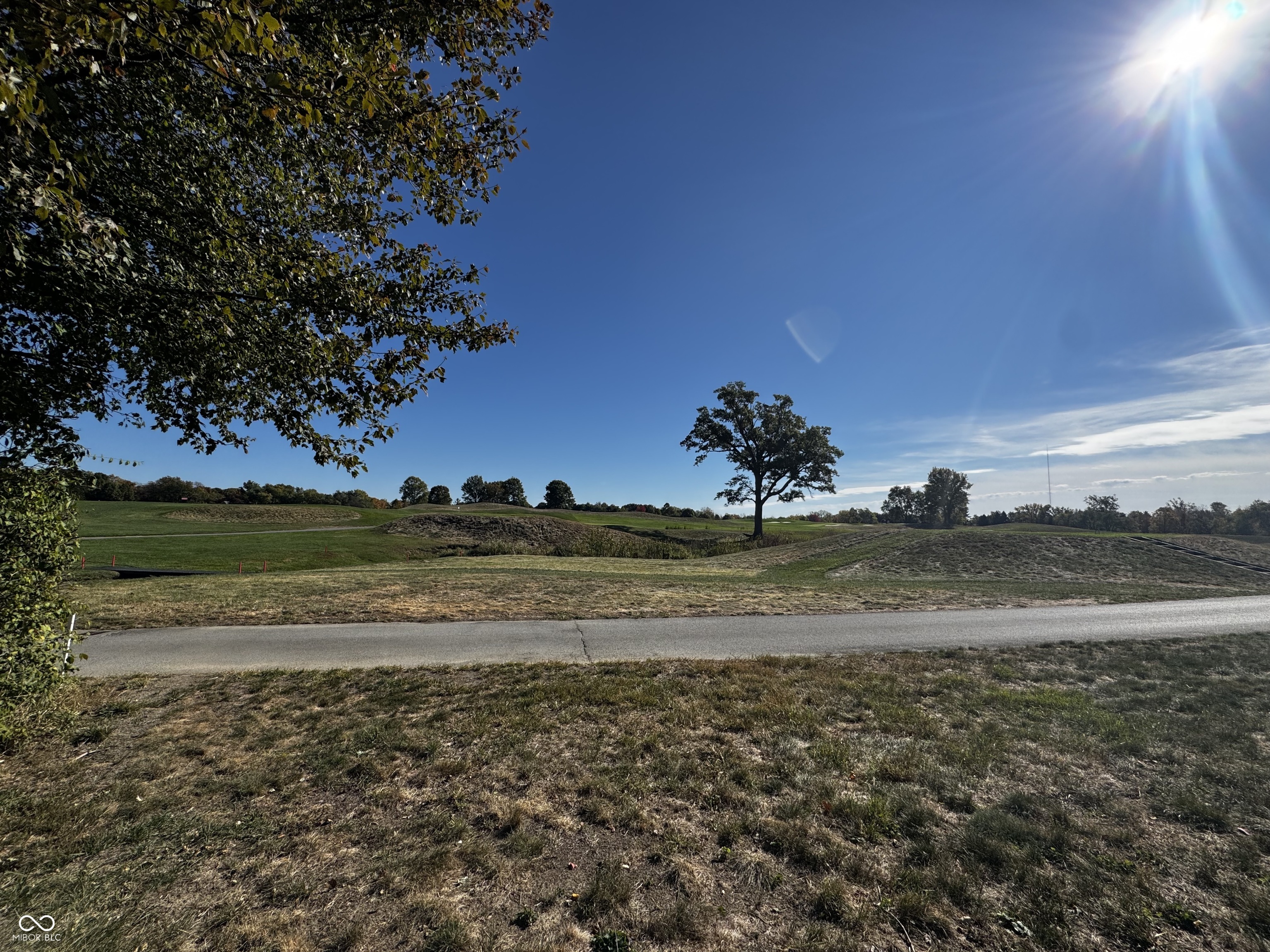 10837 Thunderbird Drive Carmel, IN 46032 - Photo 7 of 14