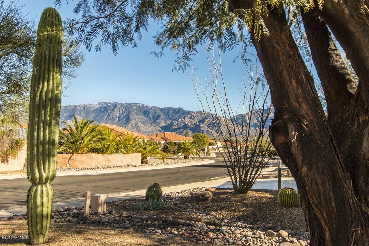 2156 East Ruellia Drive Tucson, AZ 85755 - Photo 2 of 29