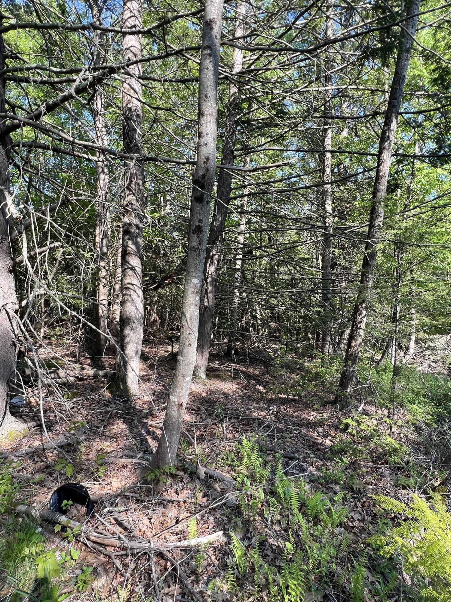 0 Curtis Ridge, Unit LOT 15B Eliot, ME 03903 - Photo 4 of 7 IMG_1137
