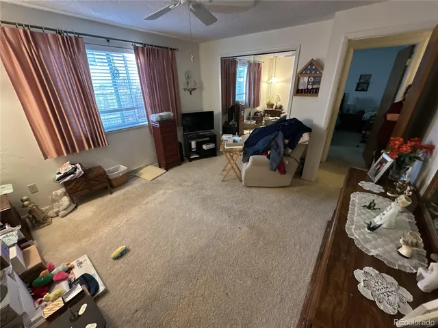 a bed room with furniture and a window