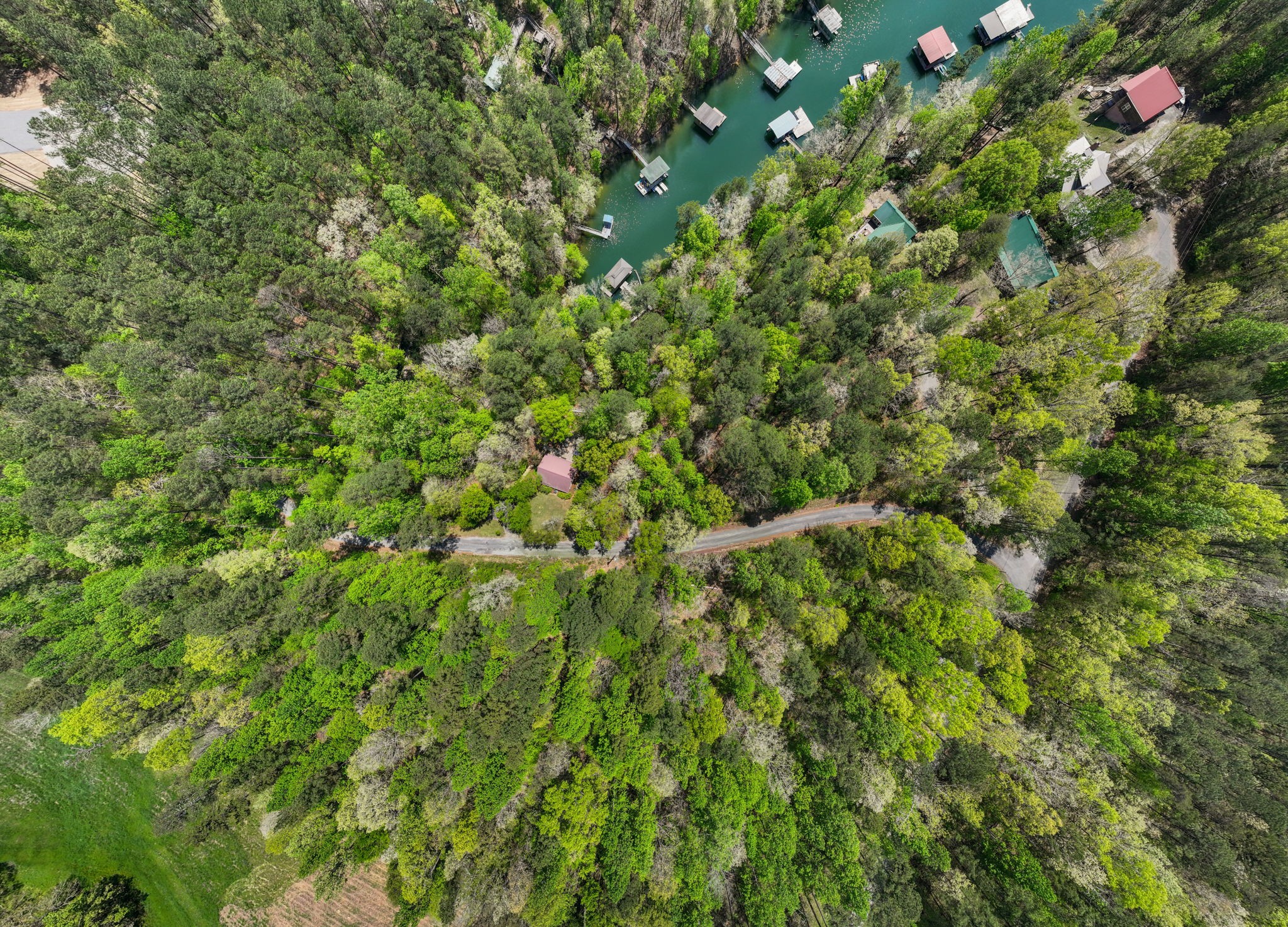 528 Godsey Road Houston, AL 35572 - Photo 65 of 67