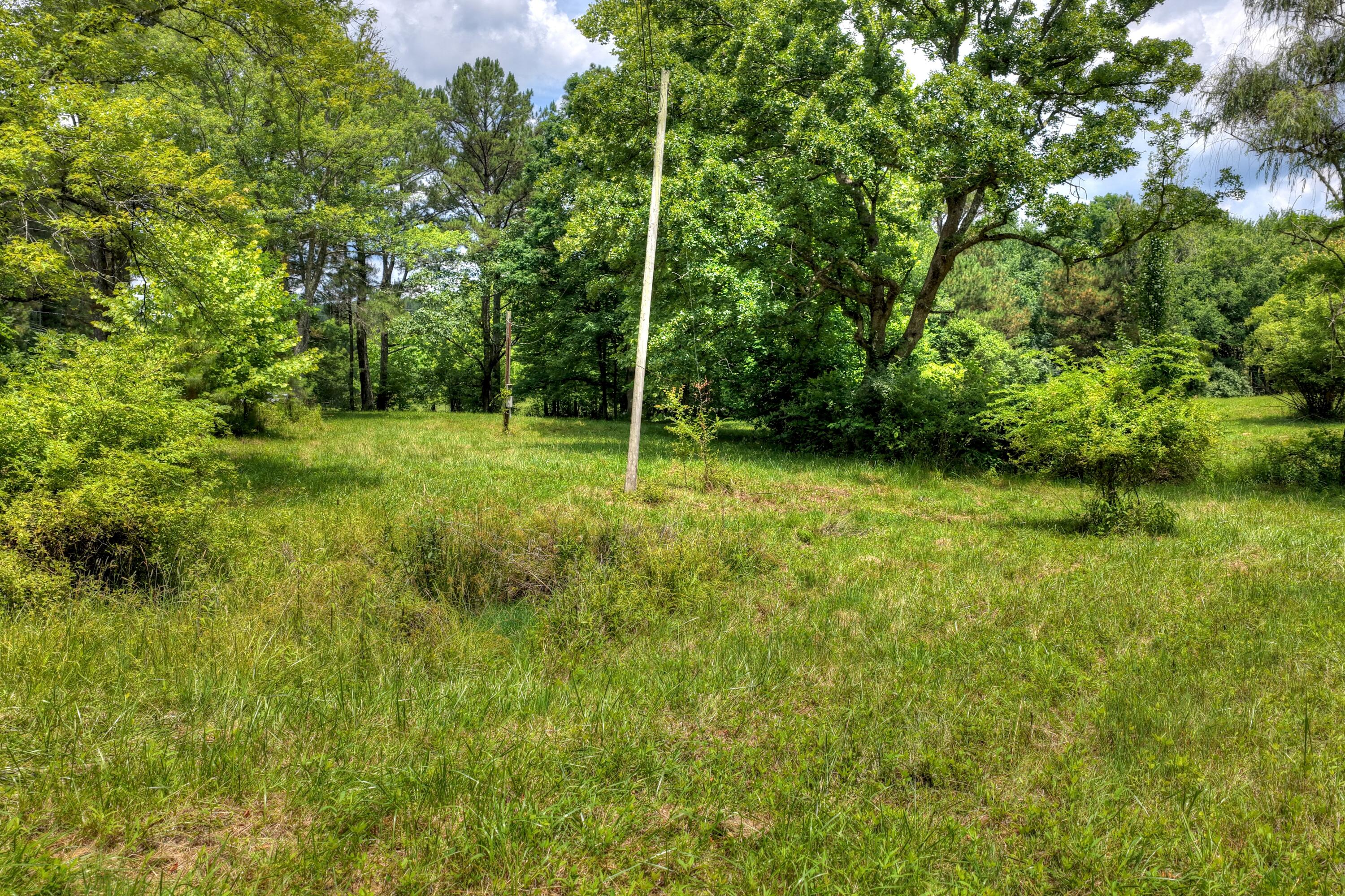 526 Airport Road Copperhill, TN 37317 - Photo 7 of 28 Airport Rd Byrd Property (6)