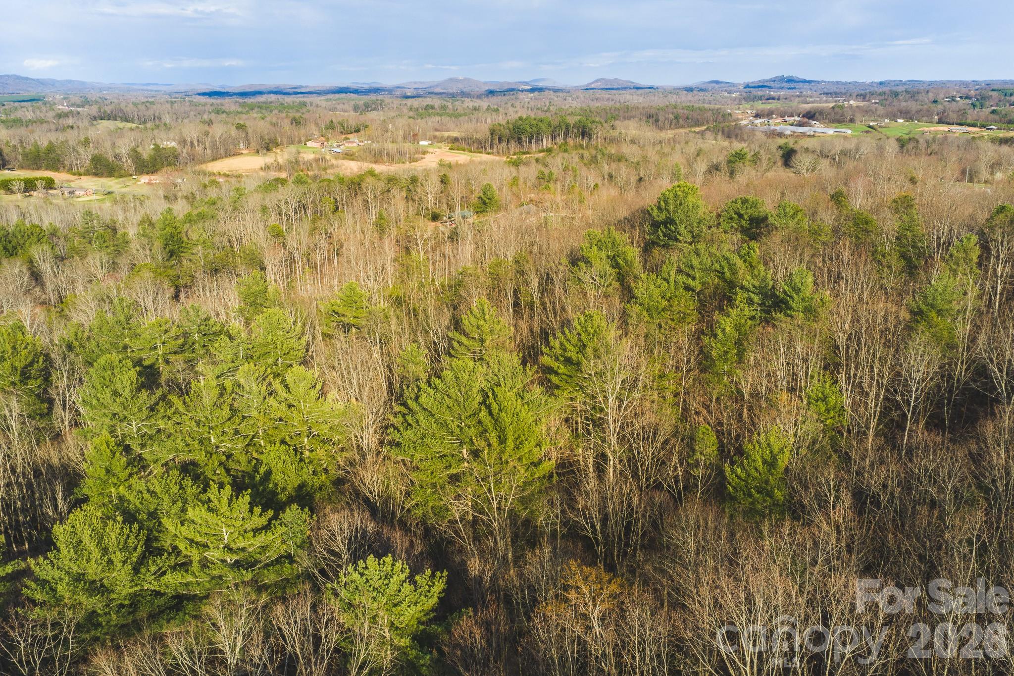 4 All Healing Springs Road, Unit 1 Taylorsville, NC 28681 - Photo 3 of 20