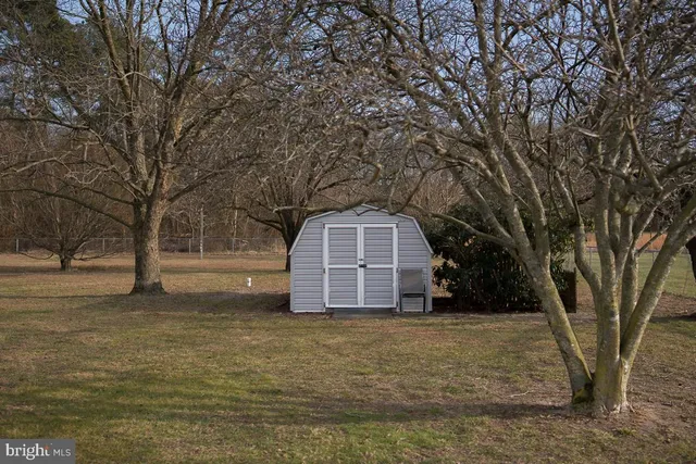 a view of a outdoor space with trees