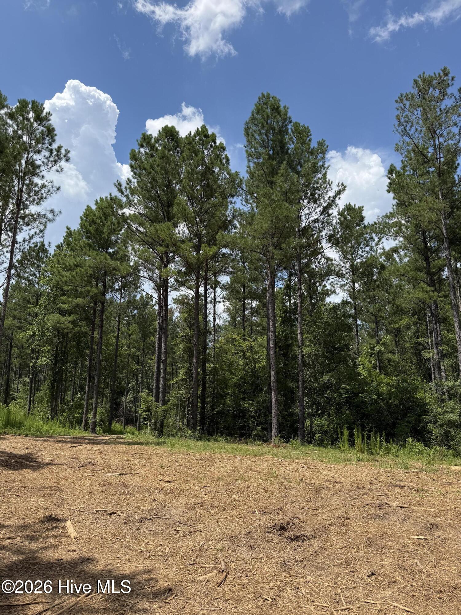 Lot 5 Christian Road McCormick, SC 29835 - Photo 4 of 14 IMG_2425