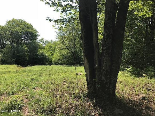 Brook Street Forest City, PA 18421 - Photo 11 of 22
