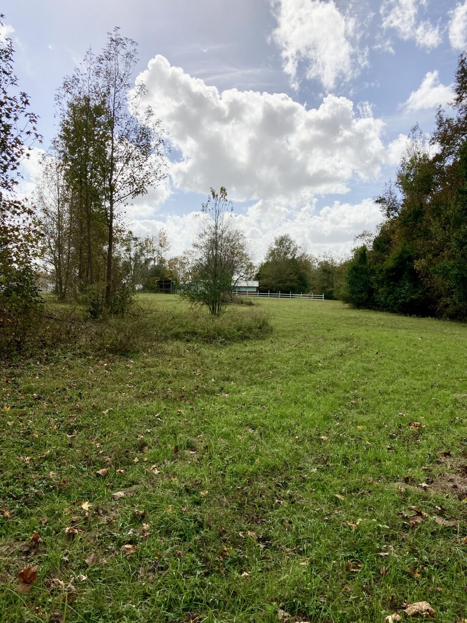 2254 Vance Road Vance, SC 29163 - Photo 11 of 41 756BA1CC-F200-4F20-A131-88EEBABF23AB