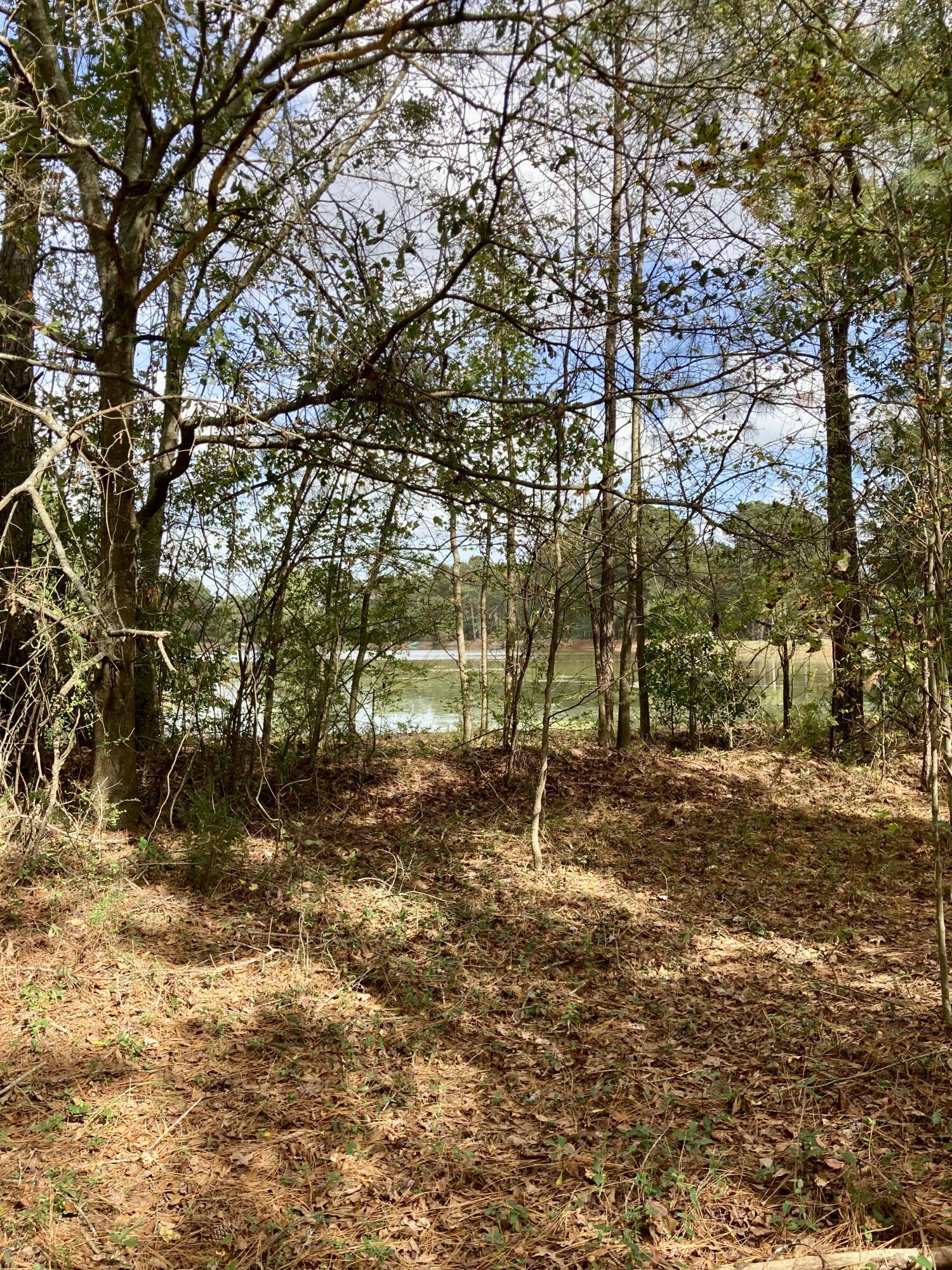 2254 Vance Road Vance, SC 29163 - Photo 41 of 41 ED691F4C-173C-44BC-AB79-D5783BB5C84E