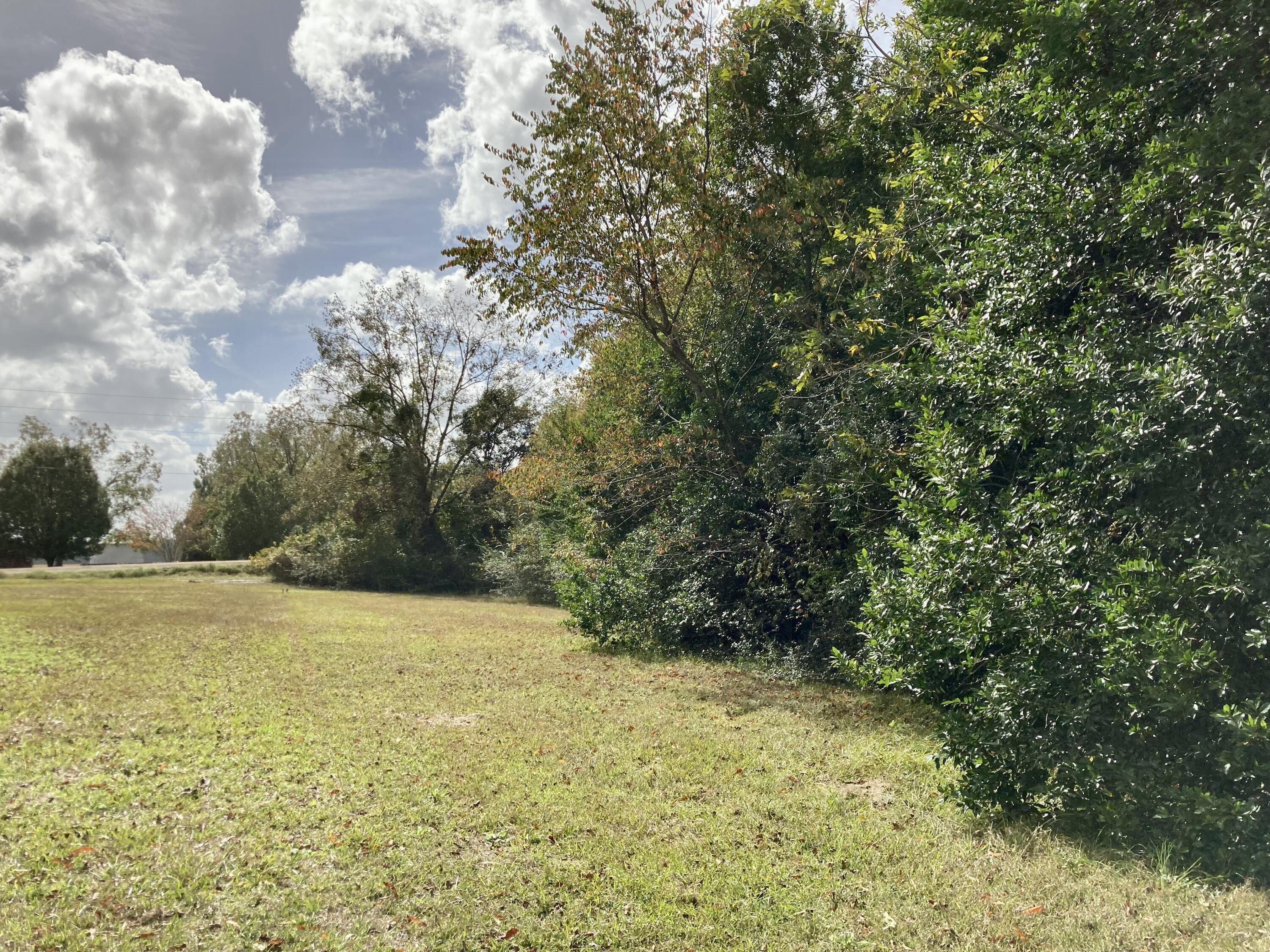 2254 Vance Road Vance, SC 29163 - Photo 5 of 41 A2725CFB-B5C0-4595-B05A-928CD0604F0E