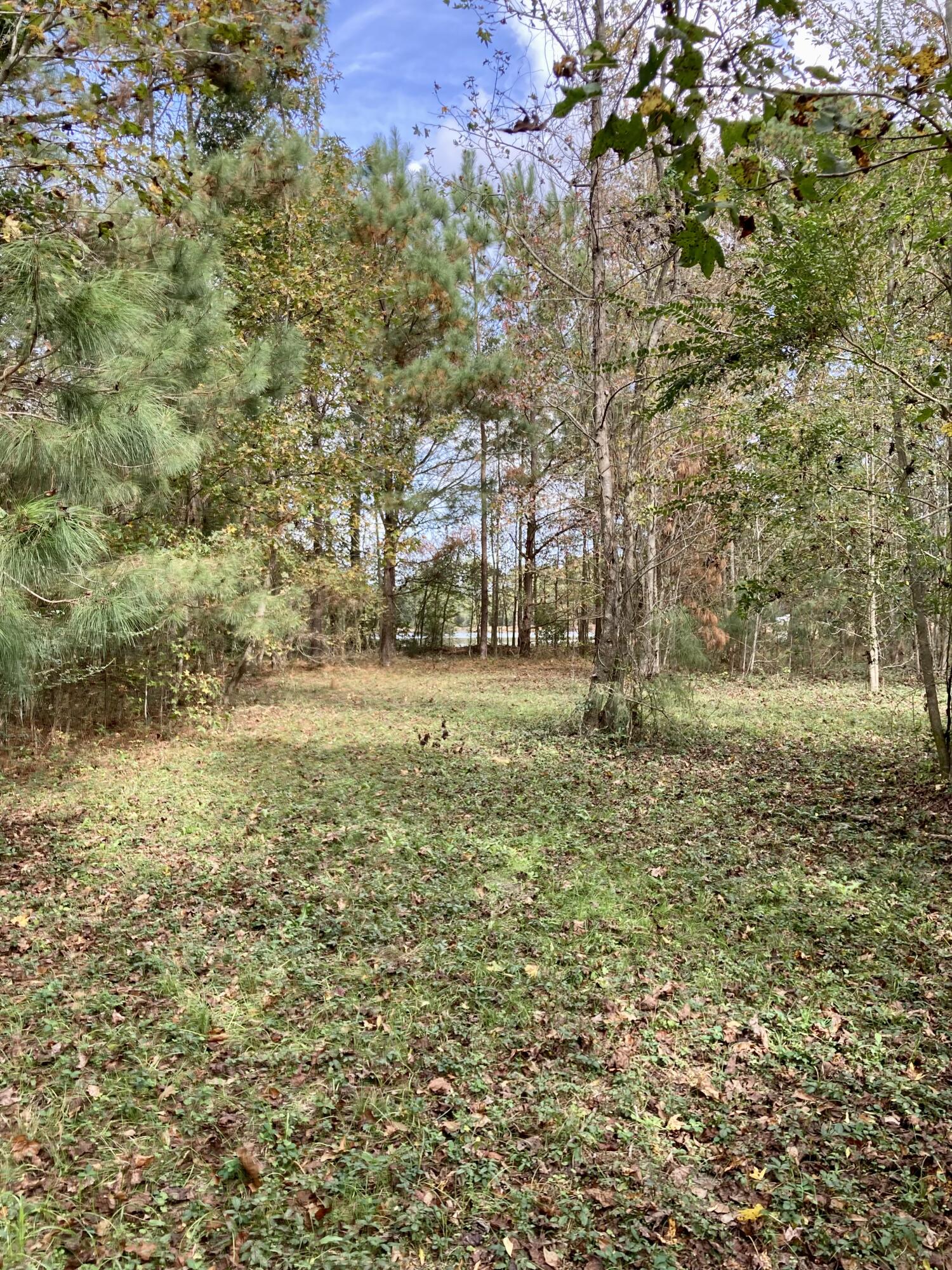 2254 Vance Road Vance, SC 29163 - Photo 8 of 41 65CF3680-6C87-4D14-B2AD-1C87592F47AA