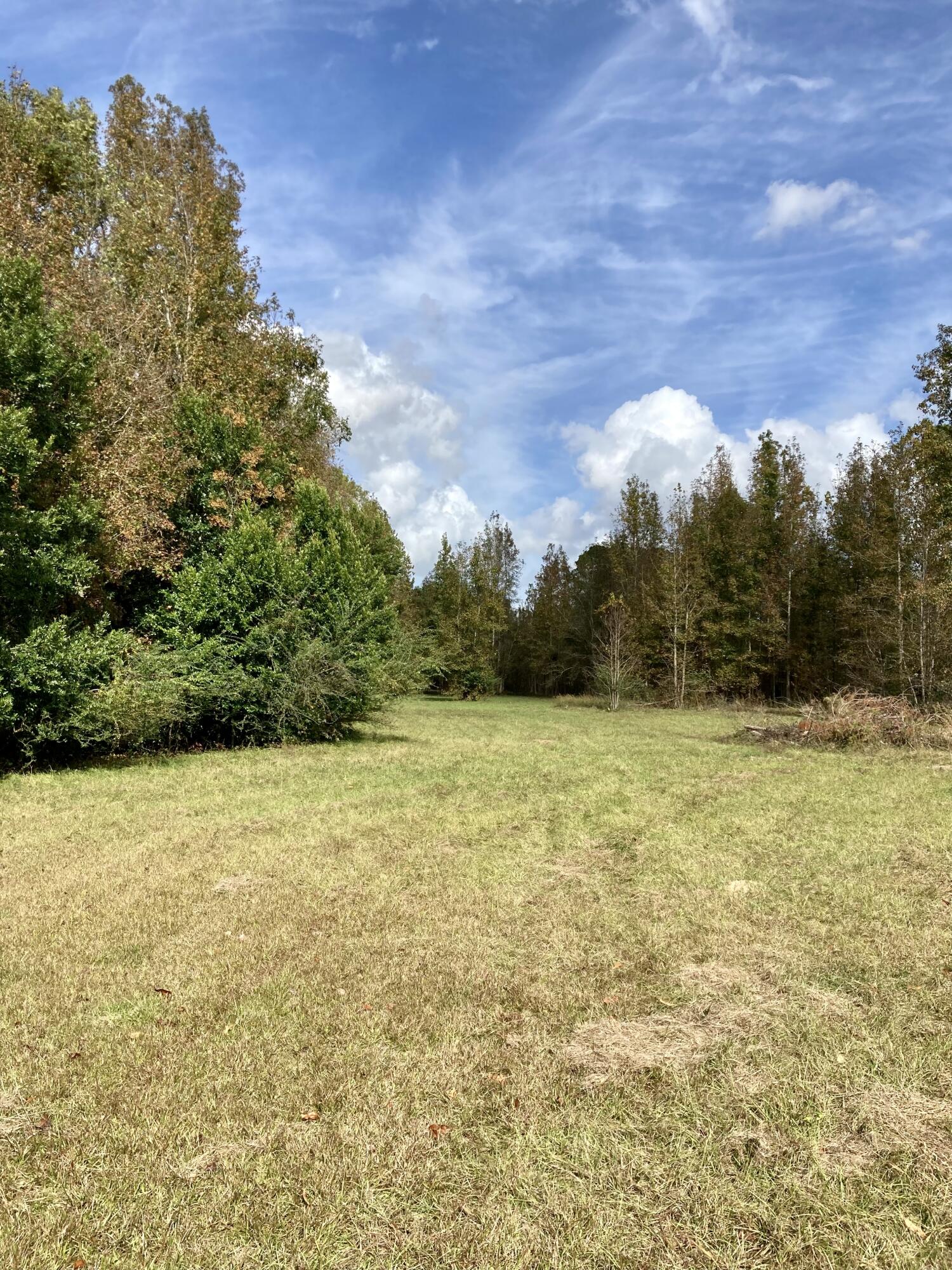2254 Vance Road Vance, SC 29163 - Photo 9 of 41 9E1C5EE2-36A7-4B63-8359-D02BC0A3FFA1
