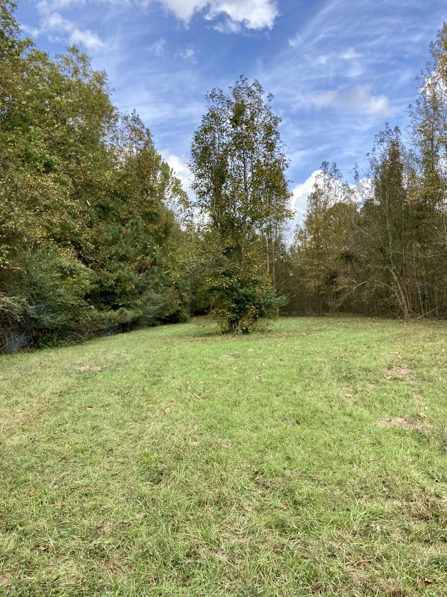 2254 Vance Road Vance, SC 29163 - Photo 10 of 41 2FB97376-E586-489A-9659-E355C30BC6AA