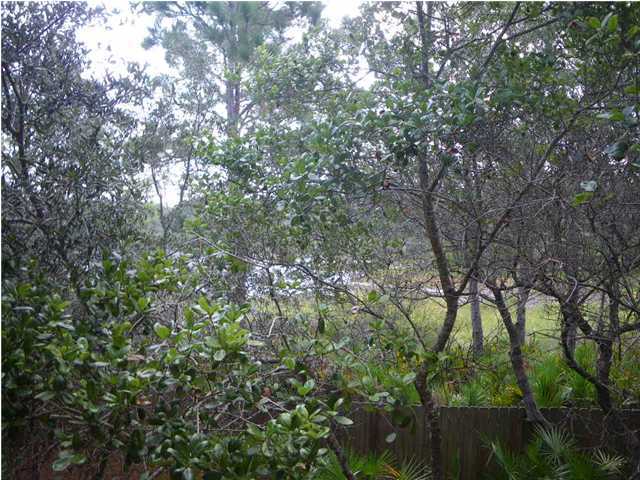 220 Hidden Lake Way Santa Rosa Beach, FL 32459 - Photo 22 of 22 Gallery Image 22