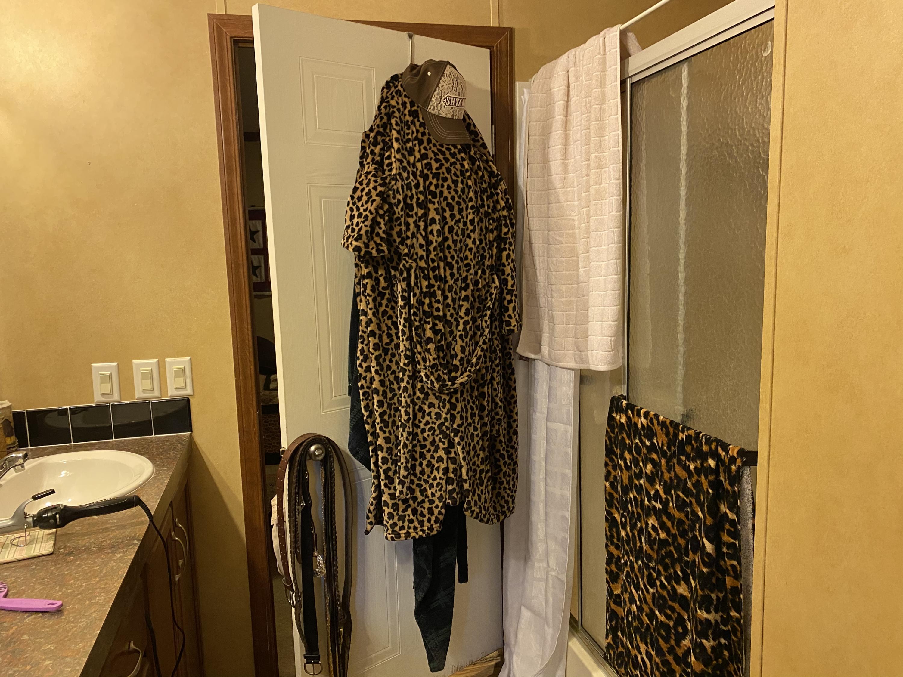 4585 Hickory Valley Road Heiskell, TN 37754 - Photo 14 of 22 Master Bath with Walk-in shower