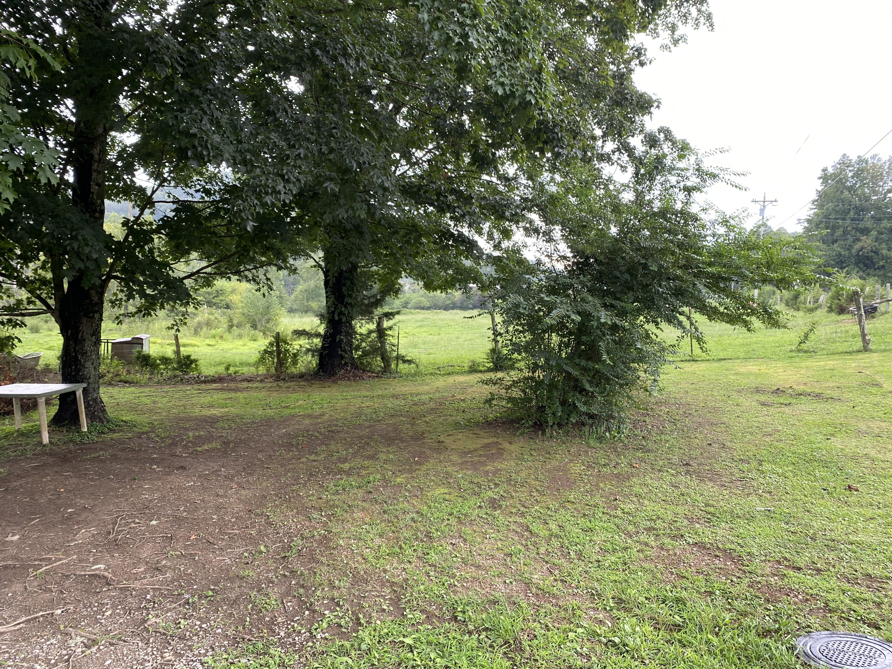 4585 Hickory Valley Road Heiskell, TN 37754 - Photo 22 of 22 Front Yard/Parking