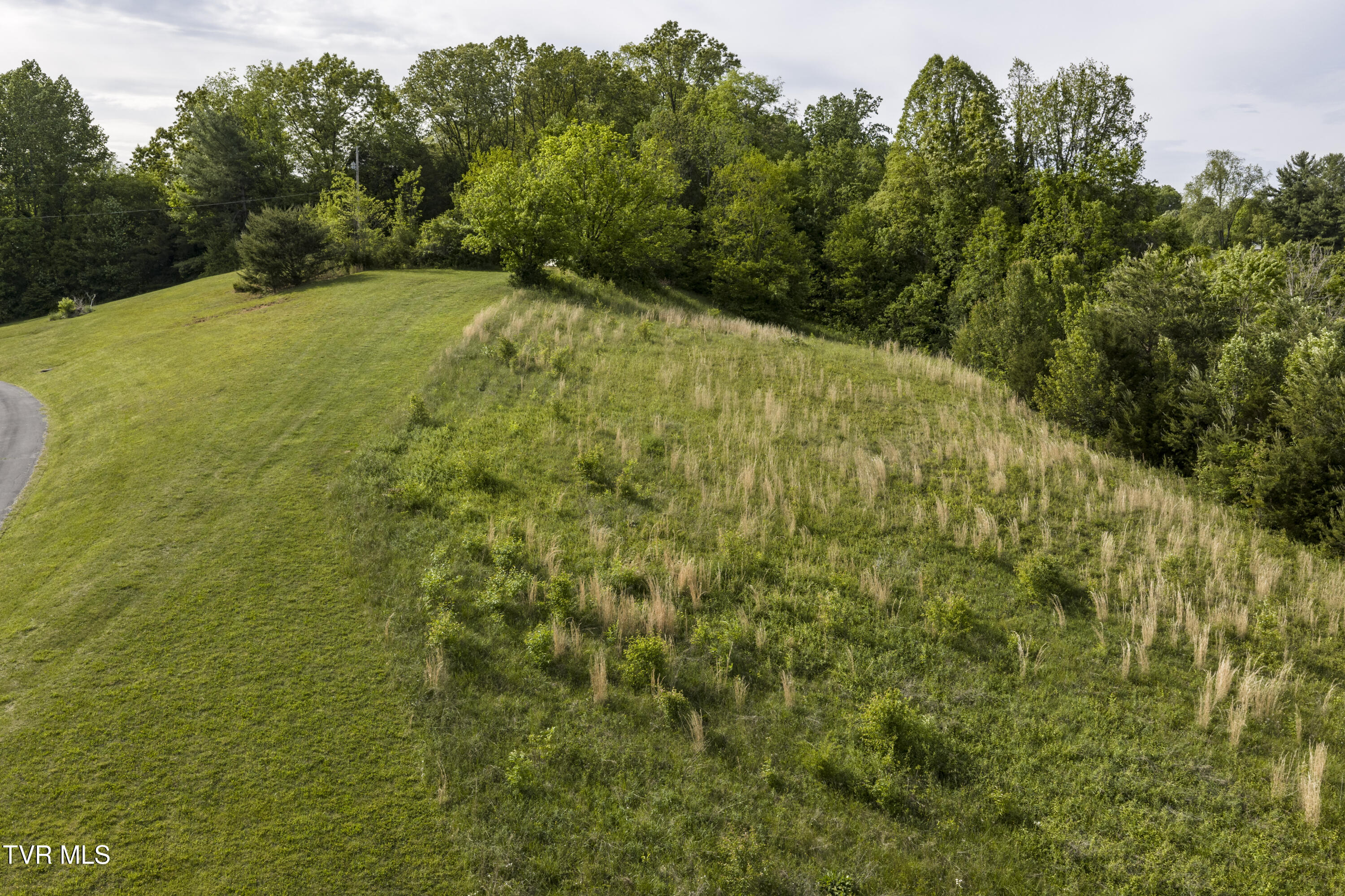 Tbd Old Lewis Road, Unit 2 Johnson City, TN 37601 - Photo 2 of 18 Oldlewis--18