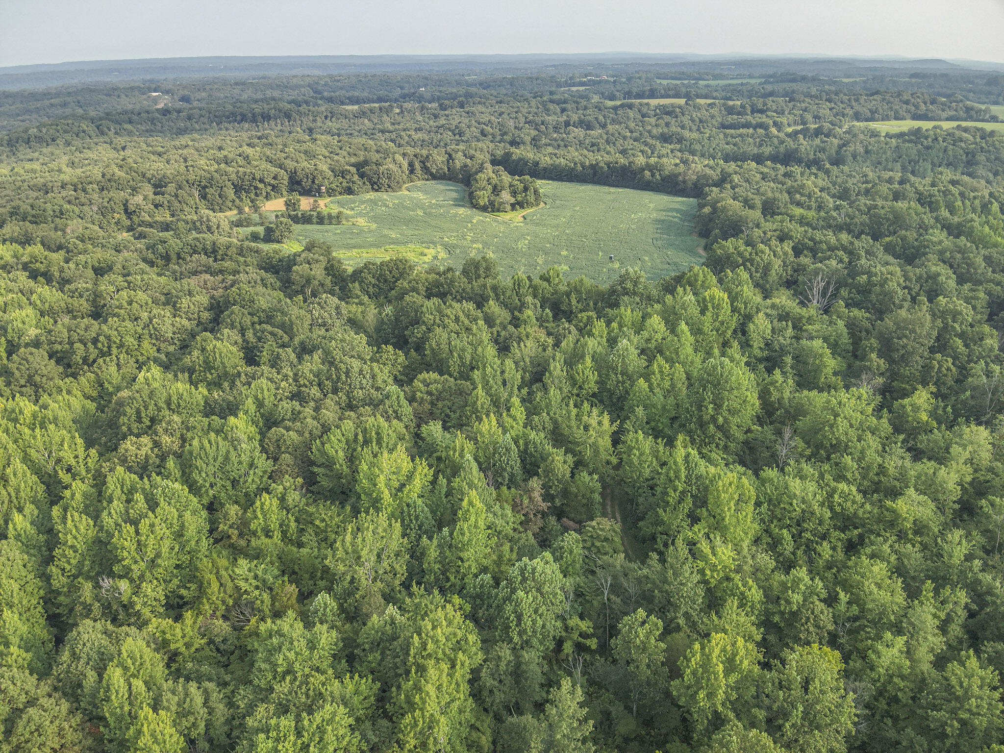 160+/- Acres