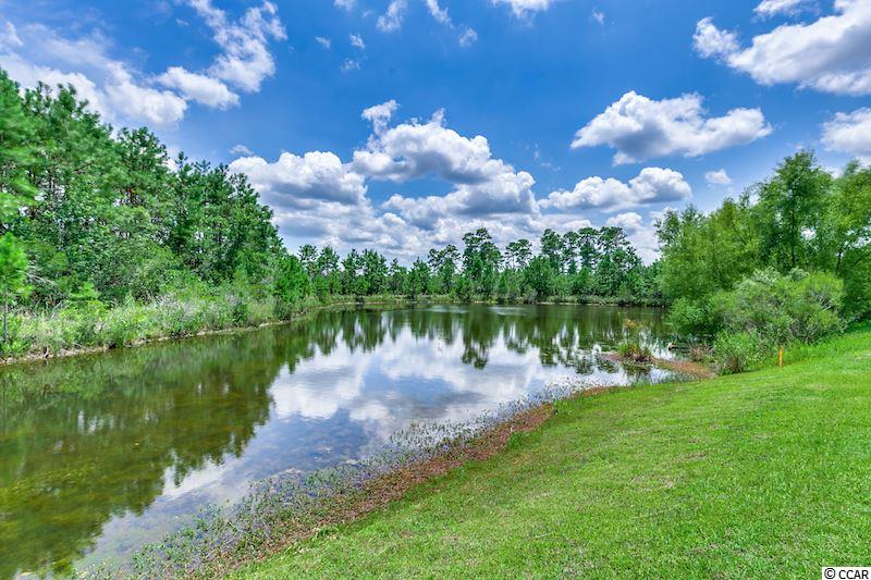 657 West Perry Road Myrtle Beach, SC 29579 - Photo 19 of 19 Gallery Image 19