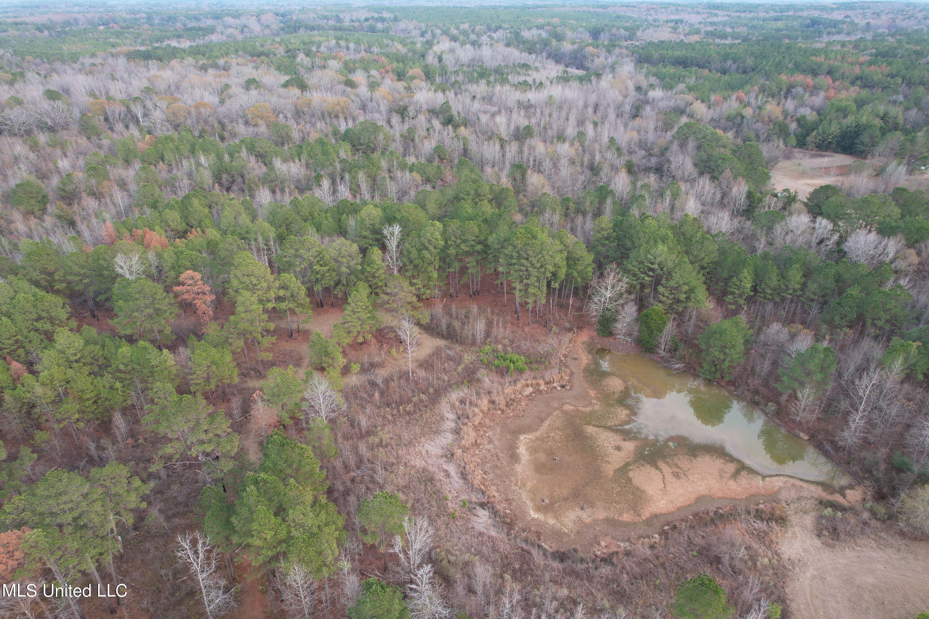 3960 Highway 16 Canton, MS 39046 - Photo 14 of 19 DJI_0889