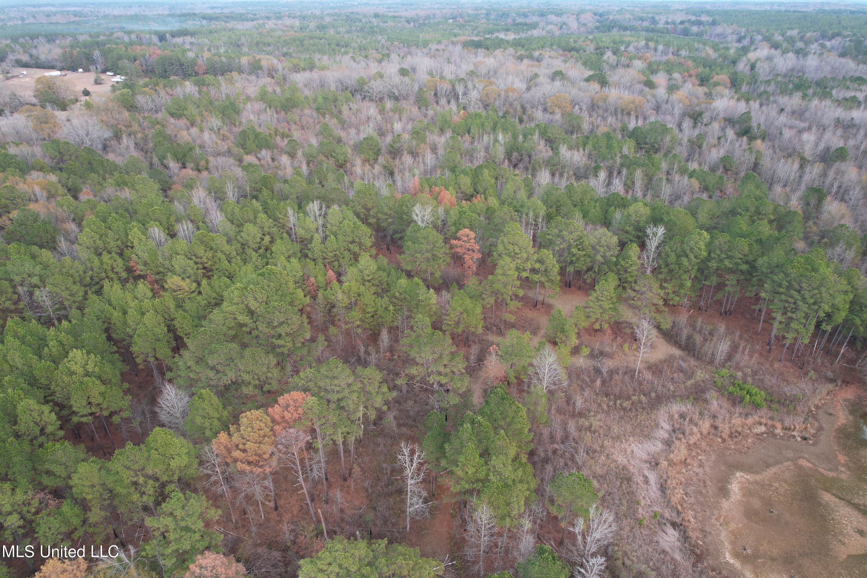 3960 Highway 16 Canton, MS 39046 - Photo 15 of 19 DJI_0890