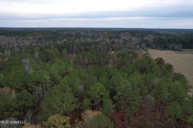 $240,000 | 3960 Highway 16, Canton, MS 39046