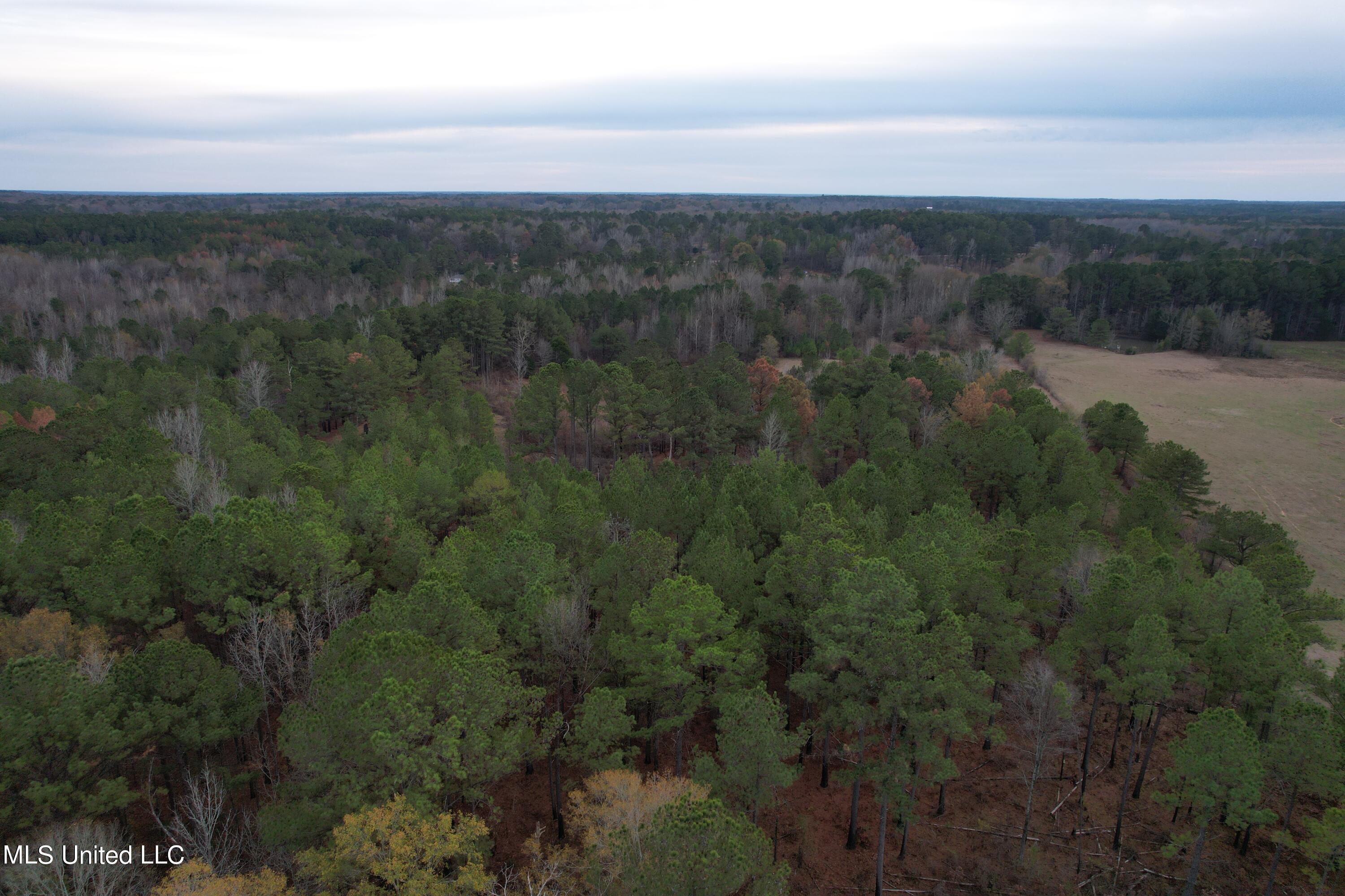 3960 Highway 16 Canton, MS 39046 - Photo 18 of 19 DJI_0893