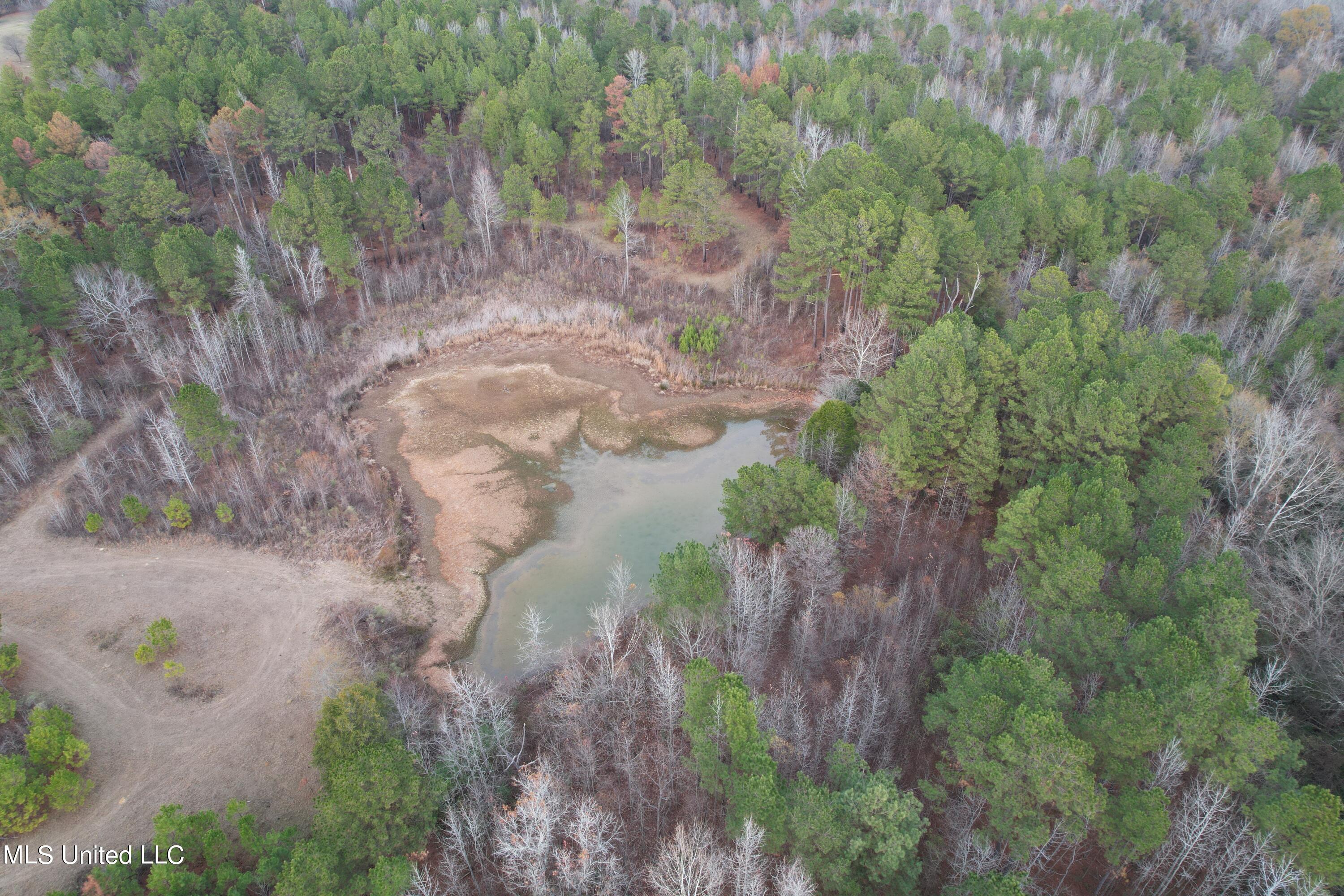3960 Highway 16 Canton, MS 39046 - Photo 9 of 19 DJI_0884