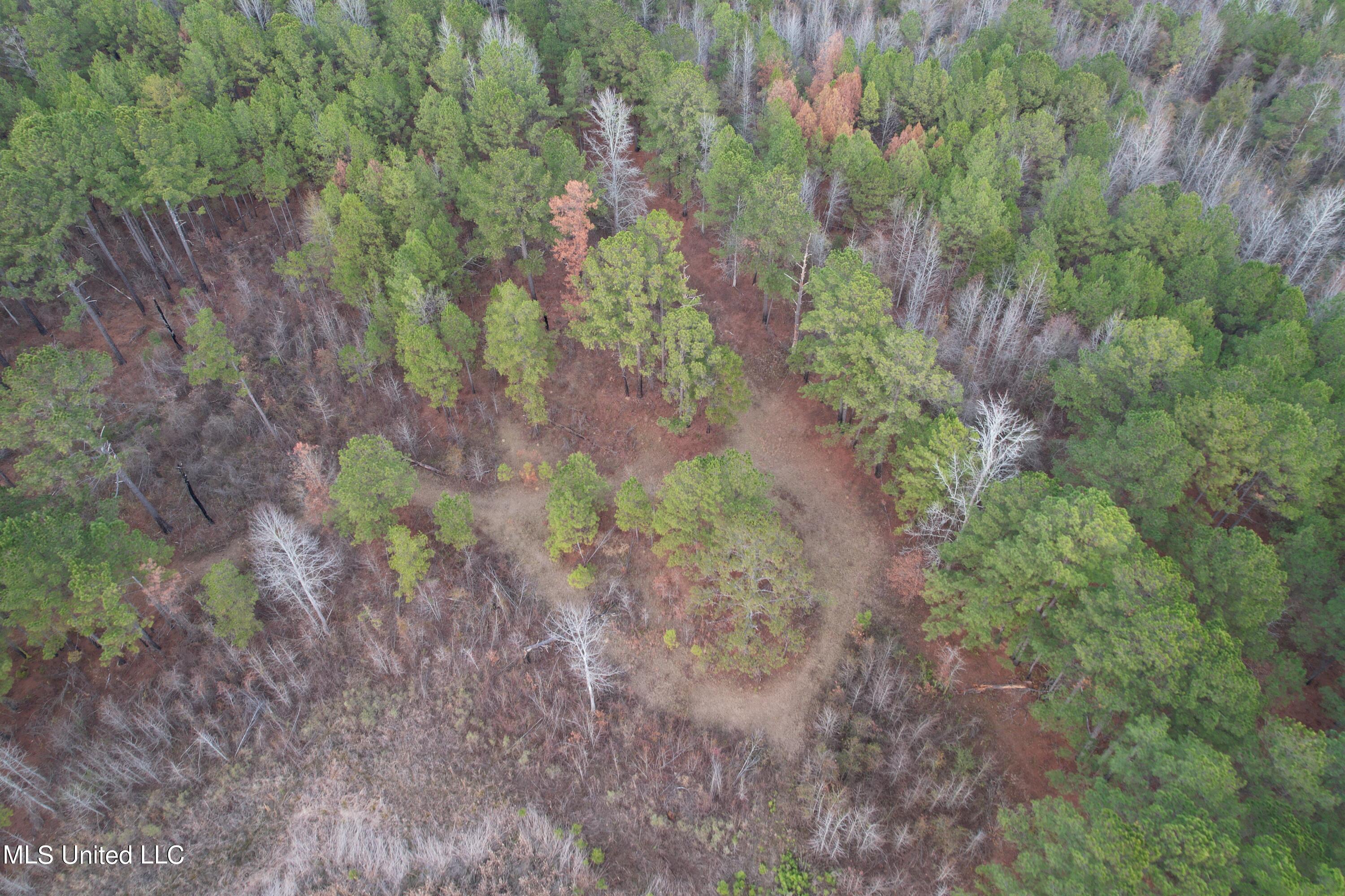 3960 Highway 16 Canton, MS 39046 - Photo 10 of 19 DJI_0885