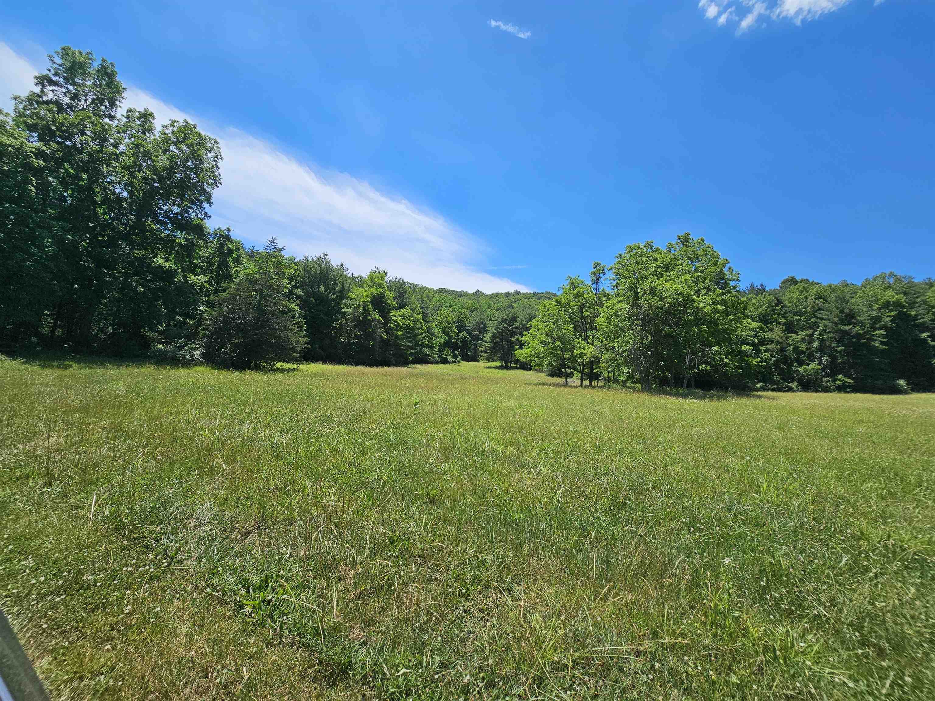2105 Coles Mountain Road Covington, VA 24426 - Photo 39 of 66