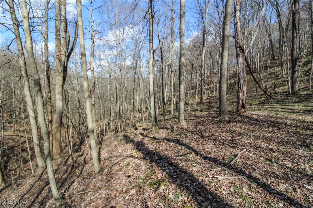 Elk Run Road New Matamoras, OH 45767 - Photo 22 of 27 View of landscape
