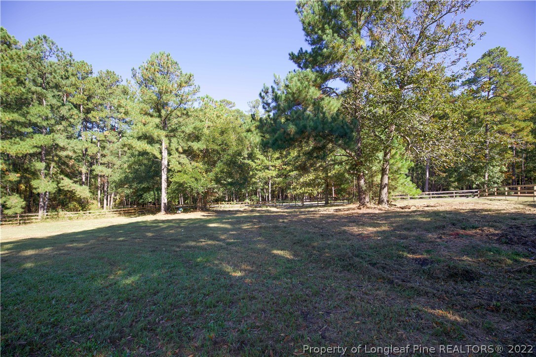321 Pinecrest Court Road Aberdeen, NC 28315 - Photo 47 of 50 a view of a yard with a tree