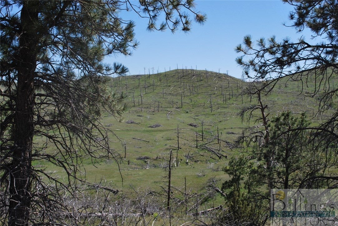 0 Haystack Coulee Road Reed Point, MT 59069 - Photo 1 of 1 Gallery Image 1