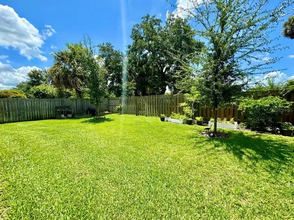 a view of a garden with a tree