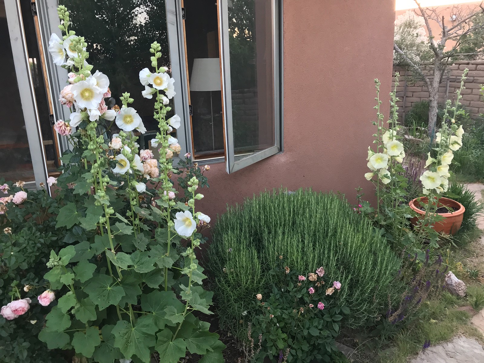 22 Mimosa Road Santa Fe, NM 87508 - Photo 36 of 51