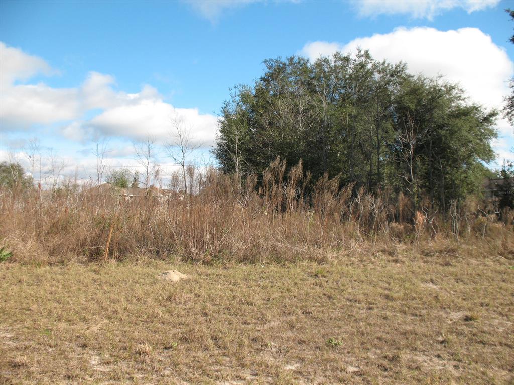 73 Southwest Ave Road Ocala, FL 34473 - Photo 1 of 1 Cosman 8010-0911-04