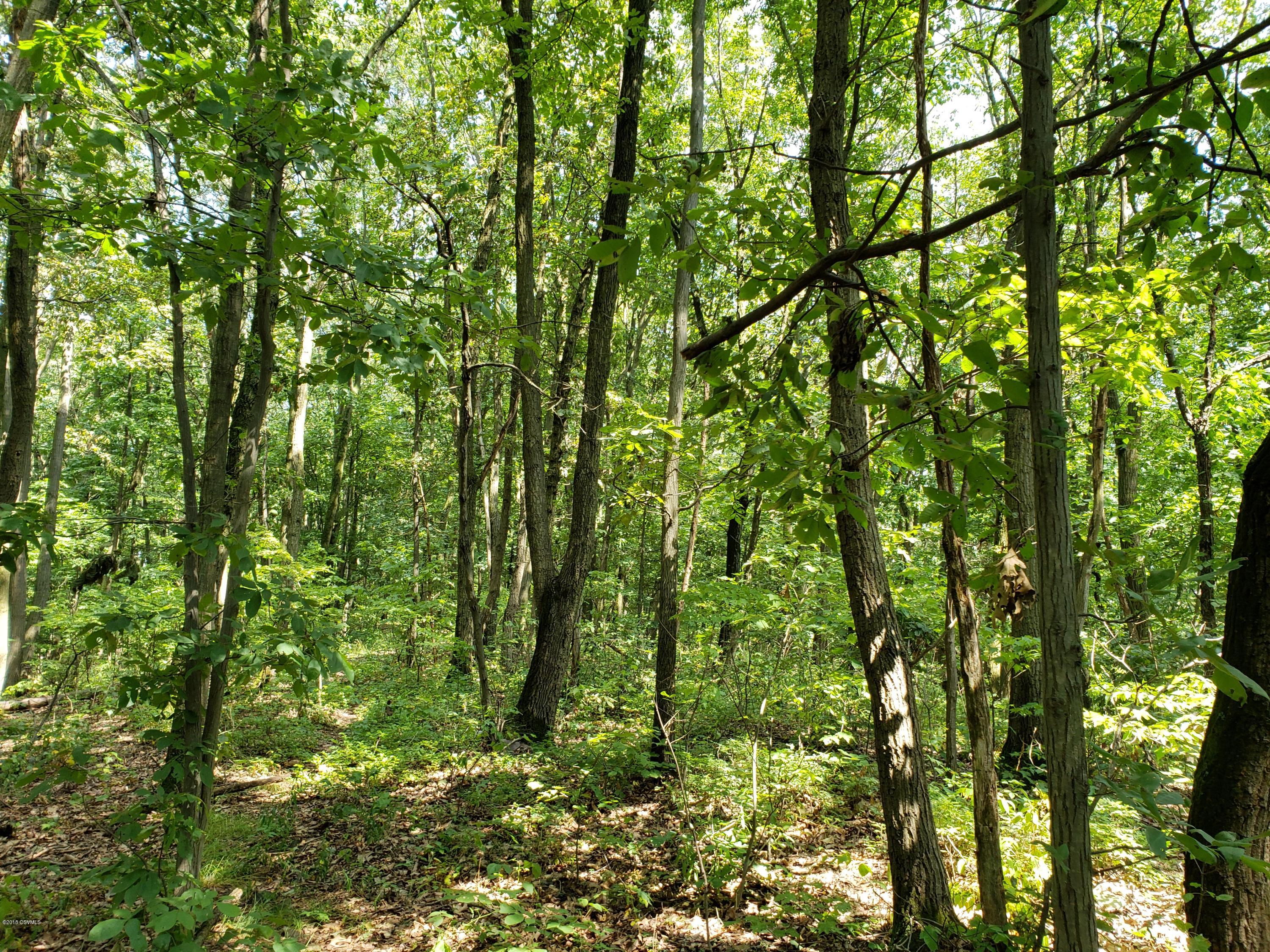 Ridge Road Lewisburg, PA 17837 - Photo 4 of 10 Gallery Image 4