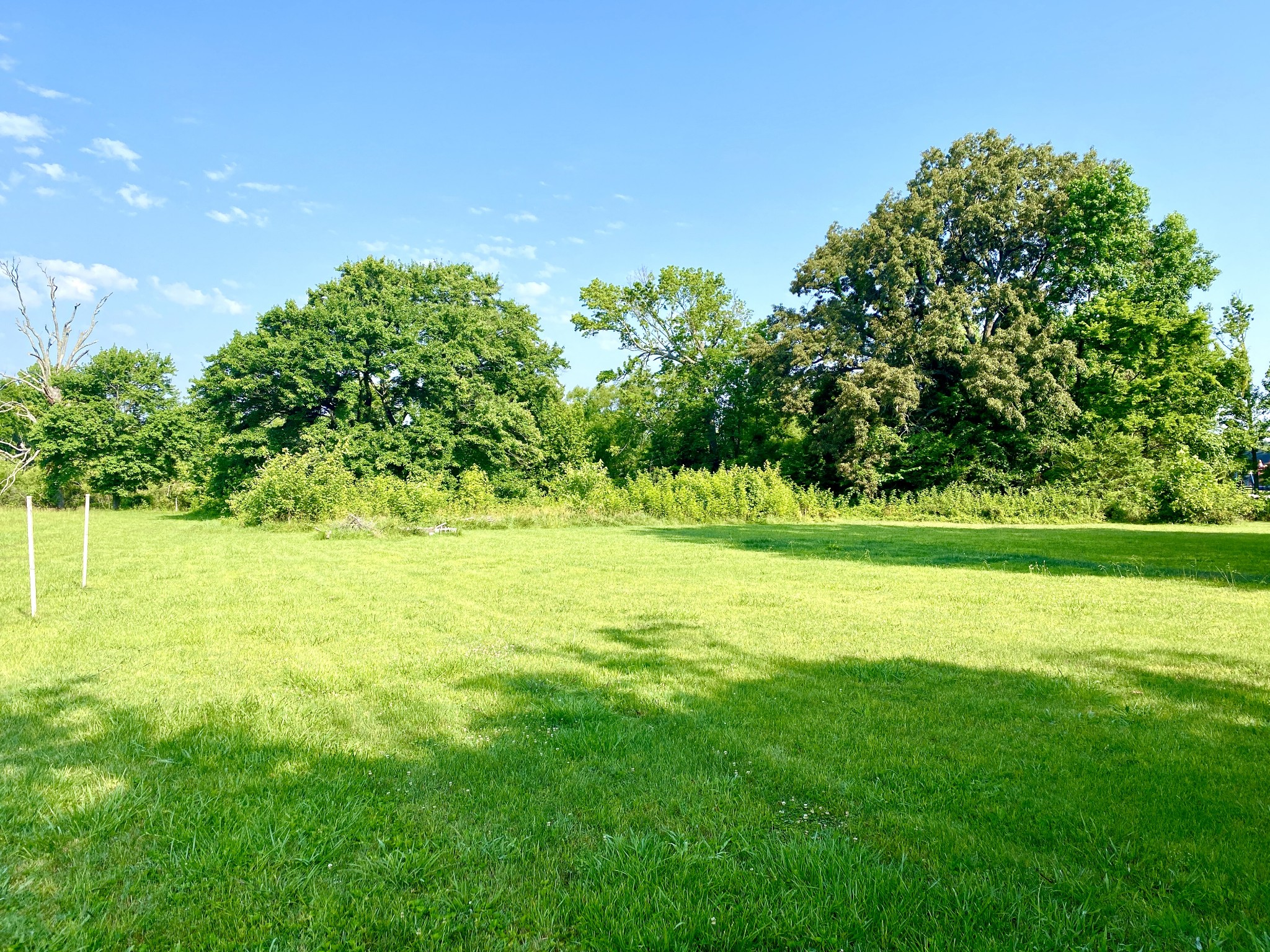 4830 Highway 431 Springfield, TN 37172 - Photo 35 of 37 Gallery Image 35