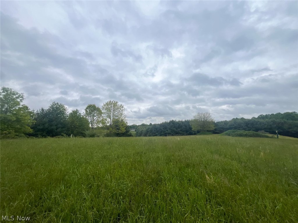 87085 Crall Road Scio, OH 43988 - Photo 2 of 17