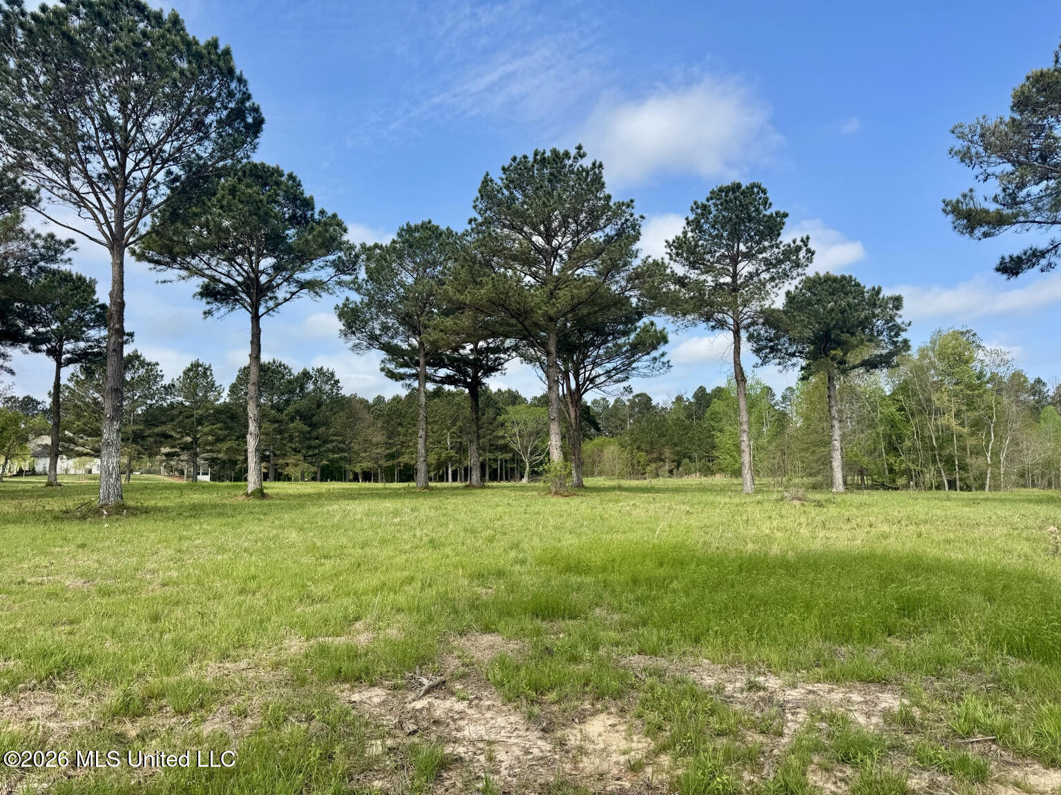 1 Bozeman Road Madison, MS 39110 - Photo 7 of 19 resized5_14_99mb