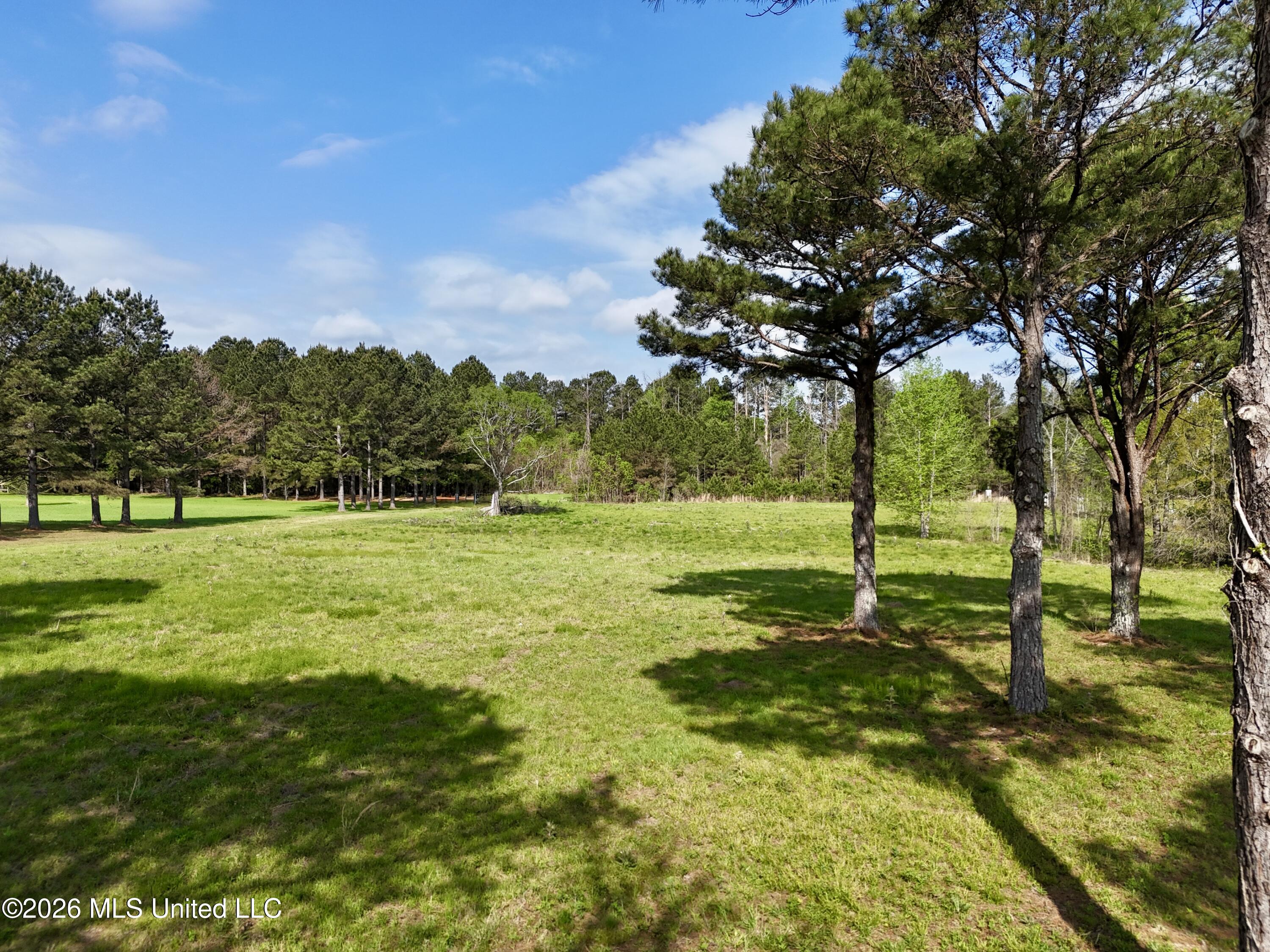 1 Bozeman Road Madison, MS 39110 - Photo 8 of 19 9ADE751C-71F3-424E-8BCC-42EE2F666D18